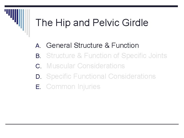 The Hip and Pelvic Girdle A. General Structure & Function B. Structure & Function The Hip and Pelvic Girdle A. General Structure & Function B. Structure & Function