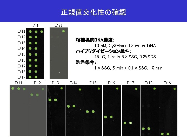 正規直交化性の確認 All D 11 D 12 D 13 D 14 D 15 D 16