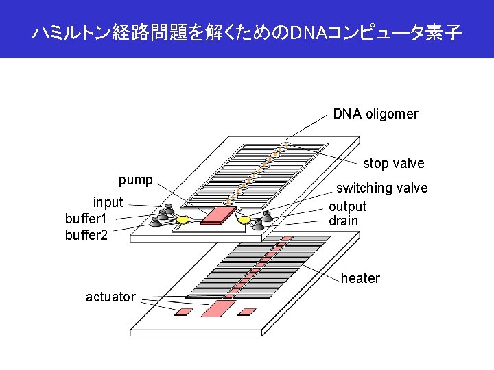 ハミルトン経路問題を解くためのDNAコンピュータ素子 DNA oligomer stop valve pump input buffer 1 buffer 2 switching valve output
