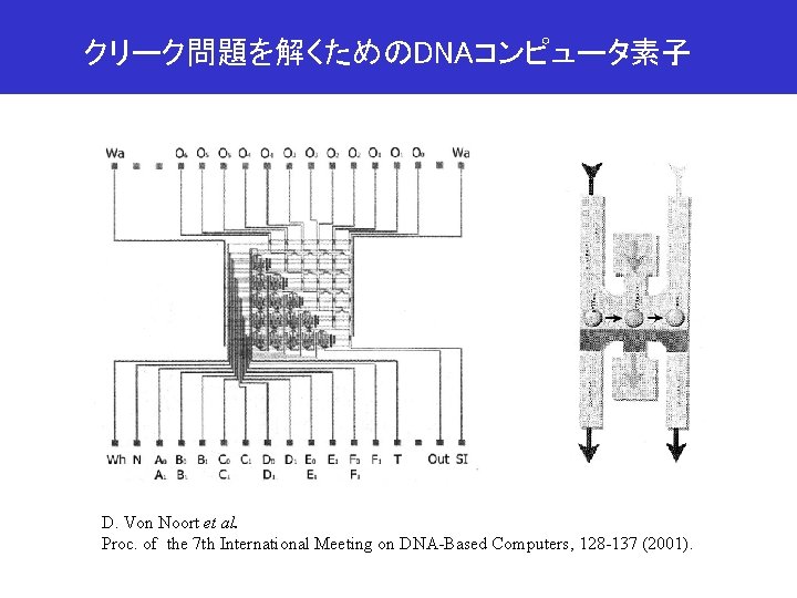 クリーク問題を解くためのDNAコンピュータ素子 D. Von Noort et al. Proc. of the 7 th International Meeting on