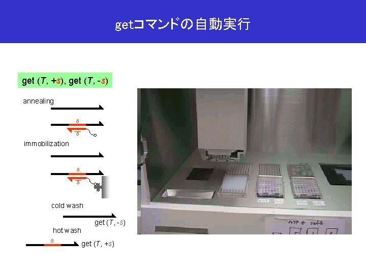 getコマンドの自動実行 get (T, +s), get (T, -s) annealing s s immobilization s s cold
