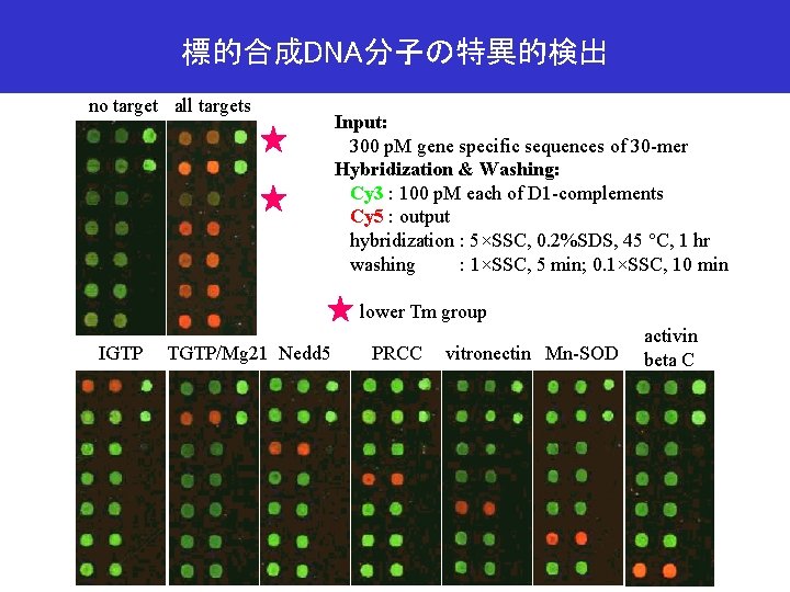 標的合成DNA分子の特異的検出 no target all targets Input: 300 p. M gene specific sequences of 30