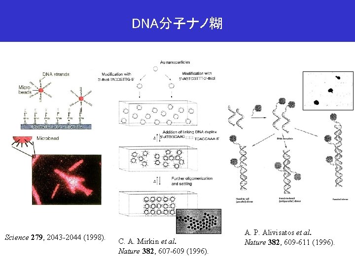 DNA分子ナノ糊 Science 279, 2043 -2044 (1998). C. A. Mirkin et al. Nature 382, 607