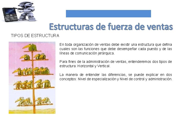 Estructuras de fuerza de ventas TIPOS DE ESTRUCTURA En toda organización de ventas debe