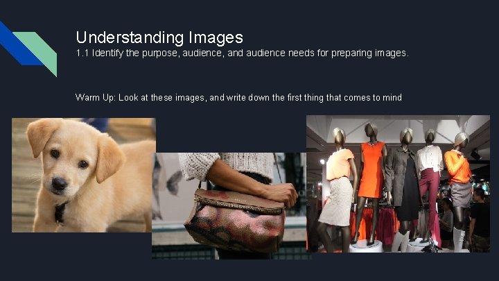 Understanding Images 1. 1 Identify the purpose, audience, and audience needs for preparing images.