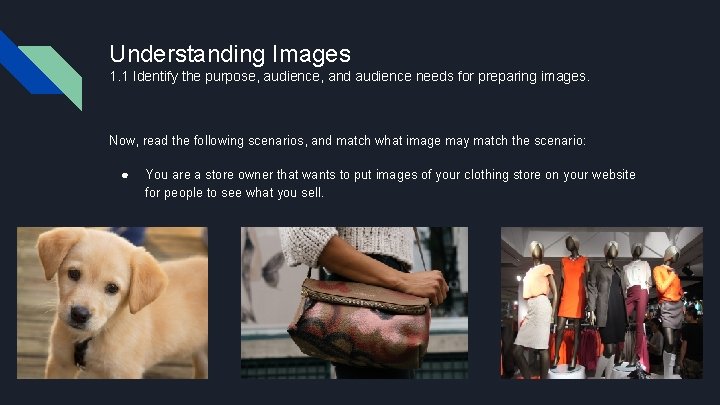 Understanding Images 1. 1 Identify the purpose, audience, and audience needs for preparing images.