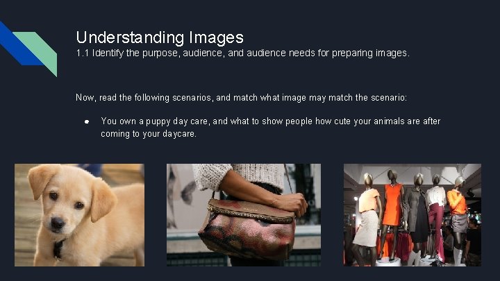 Understanding Images 1. 1 Identify the purpose, audience, and audience needs for preparing images.