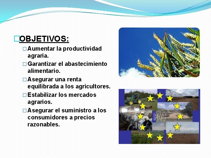 �OBJETIVOS: � Aumentar la productividad agraria. � Garantizar el abastecimiento alimentario. � Asegurar una