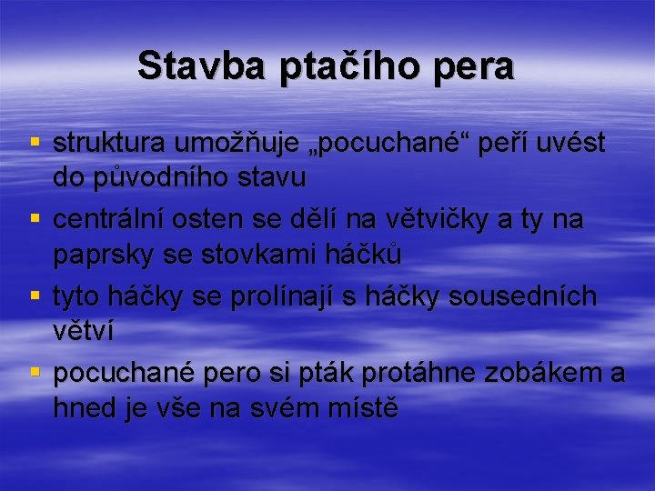 Stavba ptačího pera § struktura umožňuje „pocuchané“ peří uvést do původního stavu § centrální Stavba ptačího pera § struktura umožňuje „pocuchané“ peří uvést do původního stavu § centrální