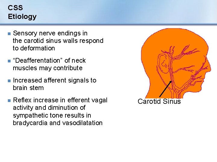 CSS Etiology n Sensory nerve endings in the carotid sinus walls respond to deformation