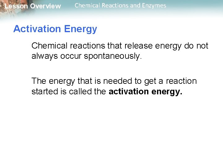 Lesson Overview Chemical Reactions and Enzymes Activation Energy Chemical reactions that release energy do