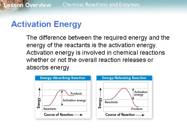 Lesson Overview Chemical Reactions and Enzymes Activation Energy The difference between the required energy