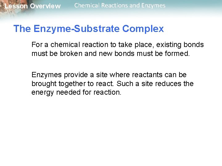 Lesson Overview Chemical Reactions and Enzymes The Enzyme-Substrate Complex For a chemical reaction to