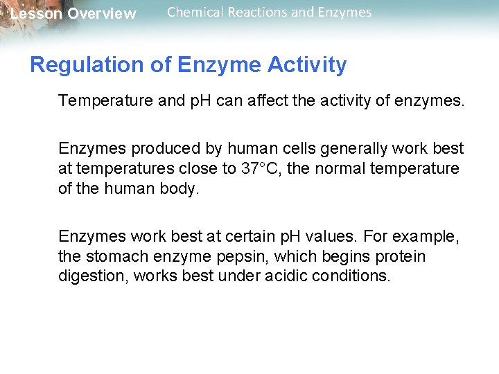 Lesson Overview Chemical Reactions and Enzymes Regulation of Enzyme Activity Temperature and p. H
