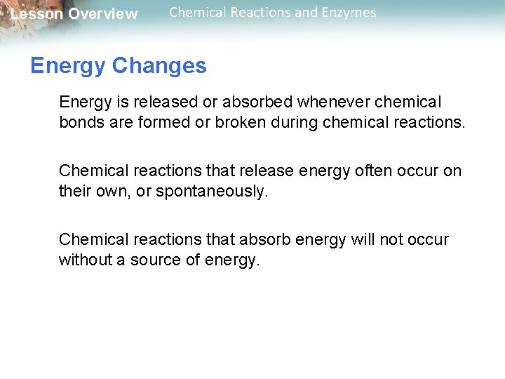 Lesson Overview Chemical Reactions and Enzymes Energy Changes Energy is released or absorbed whenever