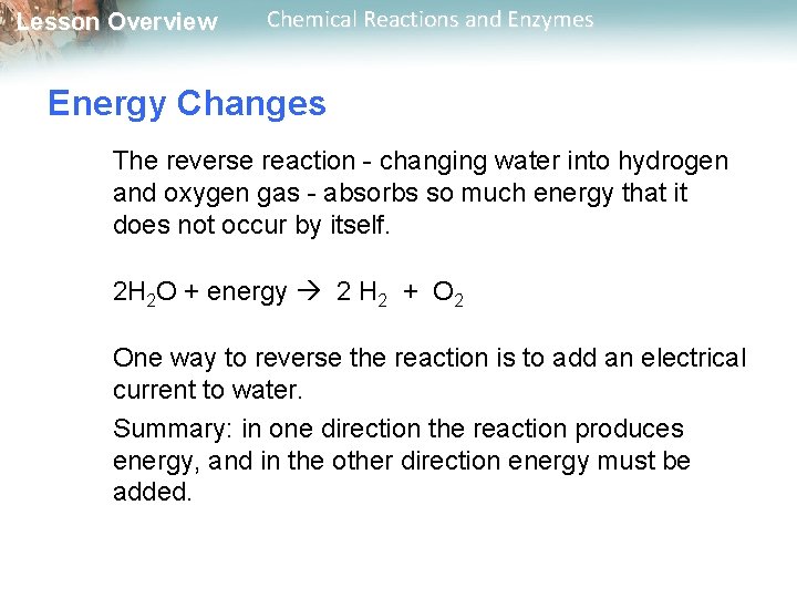Lesson Overview Chemical Reactions and Enzymes Energy Changes The reverse reaction - changing water