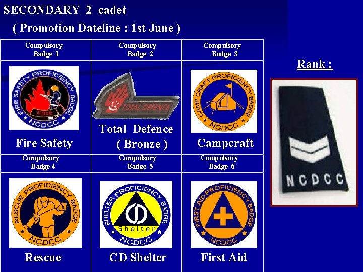 SECONDARY 2 cadet ( Promotion Dateline : 1 st June ) Compulsory Badge 1 SECONDARY 2 cadet ( Promotion Dateline : 1 st June ) Compulsory Badge 1