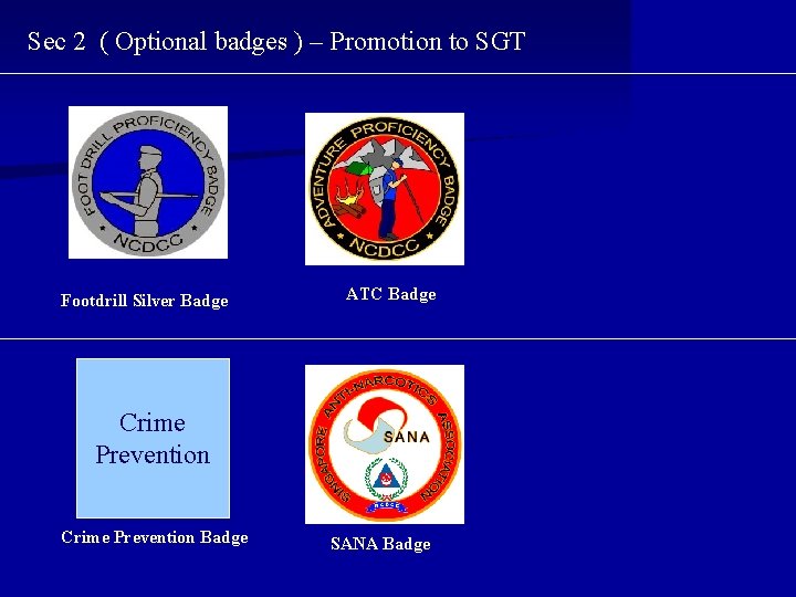 Sec 2 ( Optional badges ) – Promotion to SGT Footdrill Silver Badge ATC Sec 2 ( Optional badges ) – Promotion to SGT Footdrill Silver Badge ATC