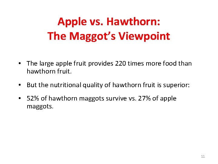 Apple vs. Hawthorn: The Maggot’s Viewpoint • The large apple fruit provides 220 times