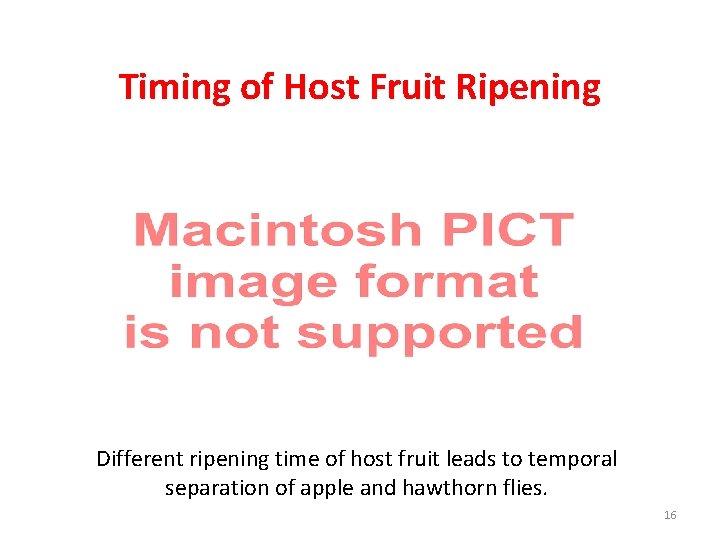 Timing of Host Fruit Ripening Different ripening time of host fruit leads to temporal