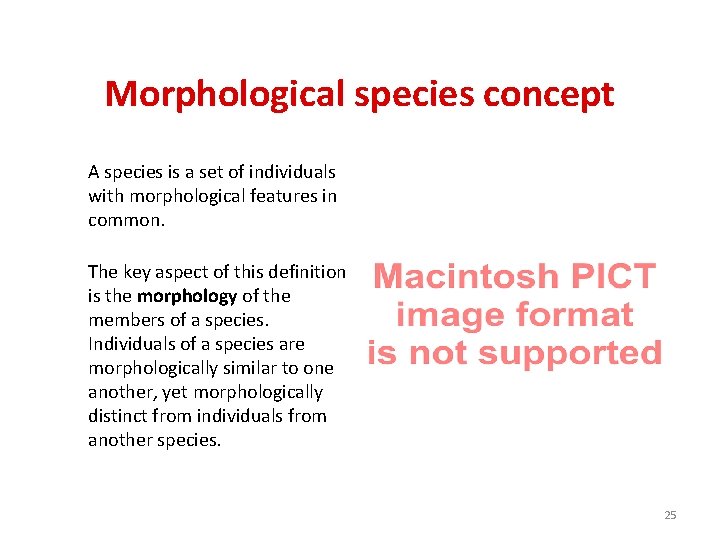 Morphological species concept A species is a set of individuals with morphological features in