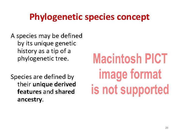 Phylogenetic species concept A species may be defined by its unique genetic history as