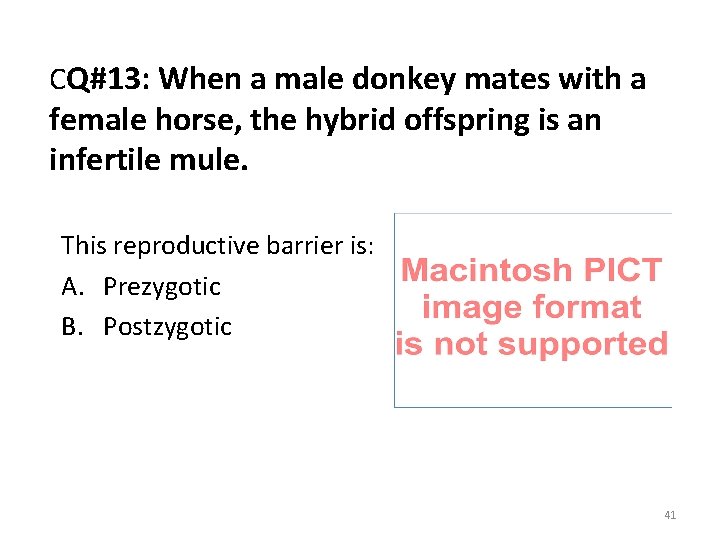 CQ#13: When a male donkey mates with a female horse, the hybrid offspring is