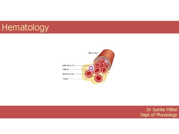 Hematology Dr Sunita Mittal Dept of Physiology 