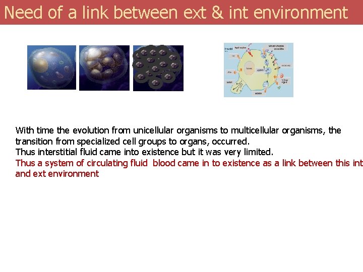 Need of a link between ext & int environment With time the evolution from