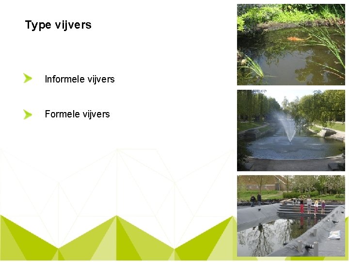 Type vijvers Informele vijvers Formele vijvers 