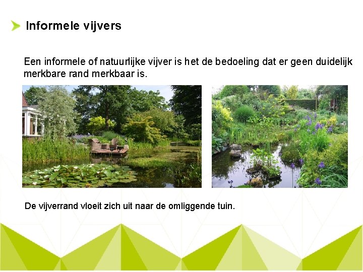 Informele vijvers Een informele of natuurlijke vijver is het de bedoeling dat er geen