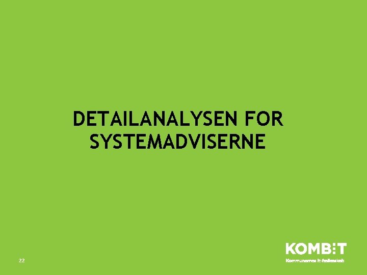 DETAILANALYSEN FOR SYSTEMADVISERNE 22 