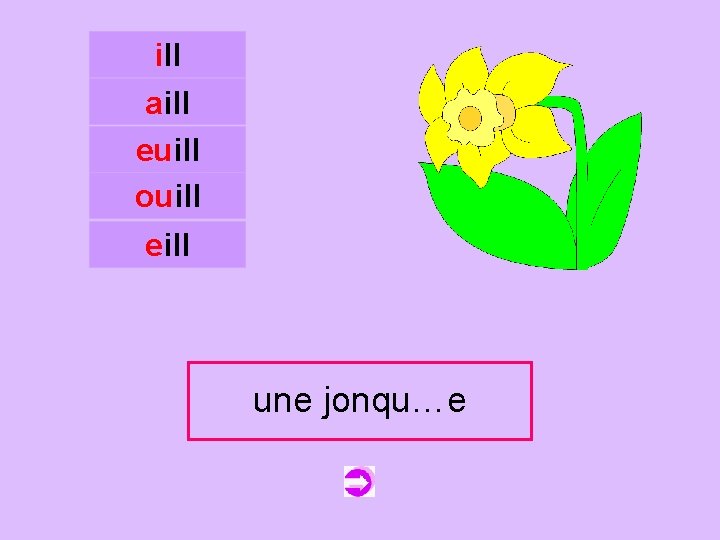 ill aill euill ouill c eill une jonqu…e jonquille 