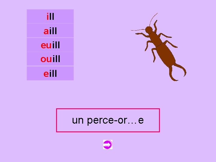 ill aill euill ouill c eill un unperce-oreille perce-or…e 
