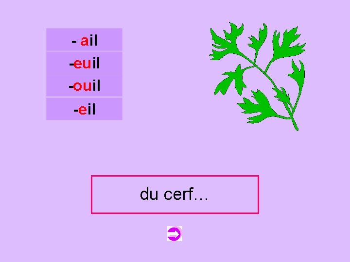 - ail -euil -ouil c -eil du ducerfeuil cerf… 