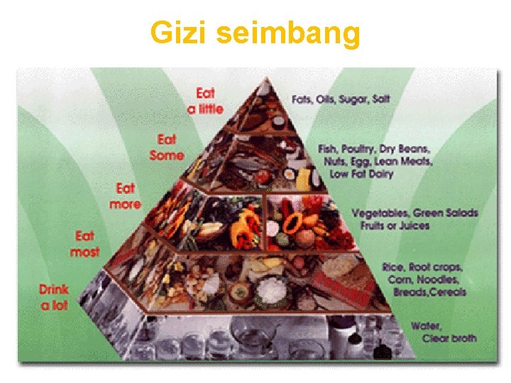 Gizi seimbang 