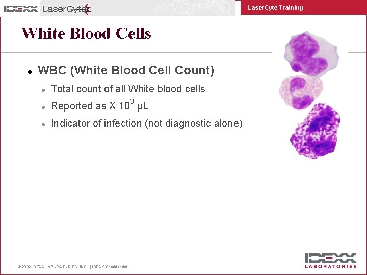 Laser. Cyte Training White Blood Cells l 11 WBC (White Blood Cell Count) l