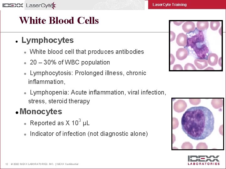 Laser. Cyte Training White Blood Cells l Lymphocytes l White blood cell that produces