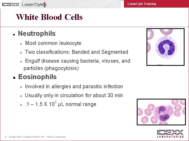 Laser. Cyte Training White Blood Cells l Neutrophils l Most common leukocyte l Two
