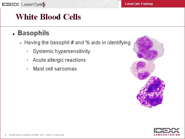 Laser. Cyte Training White Blood Cells l Basophils l Having the basophil # and