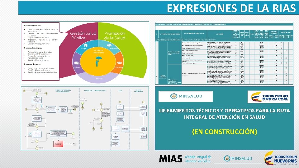 EXPRESIONES DE LA RIAS LINEAMIENTOS TÉCNICOS Y OPERATIVOS PARA LA RUTA INTEGRAL DE ATENCIÓN