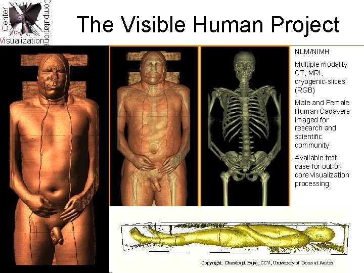Center Computational CCV Visualization The Visible Human Project NLM/NIMH Multiple modality CT, MRI, cryogenic-slices Center Computational CCV Visualization The Visible Human Project NLM/NIMH Multiple modality CT, MRI, cryogenic-slices