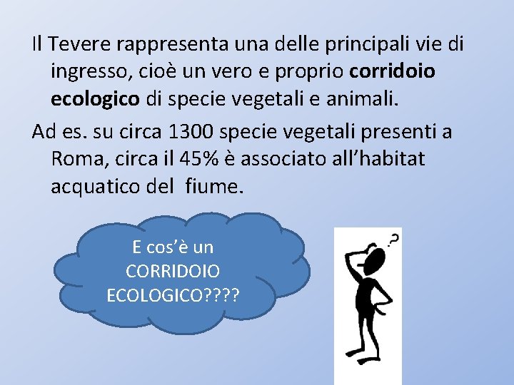 Il Tevere rappresenta una delle principali vie di ingresso, cioè un vero e proprio