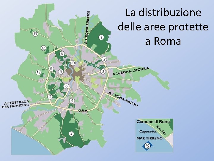 La distribuzione delle aree protette a Roma 