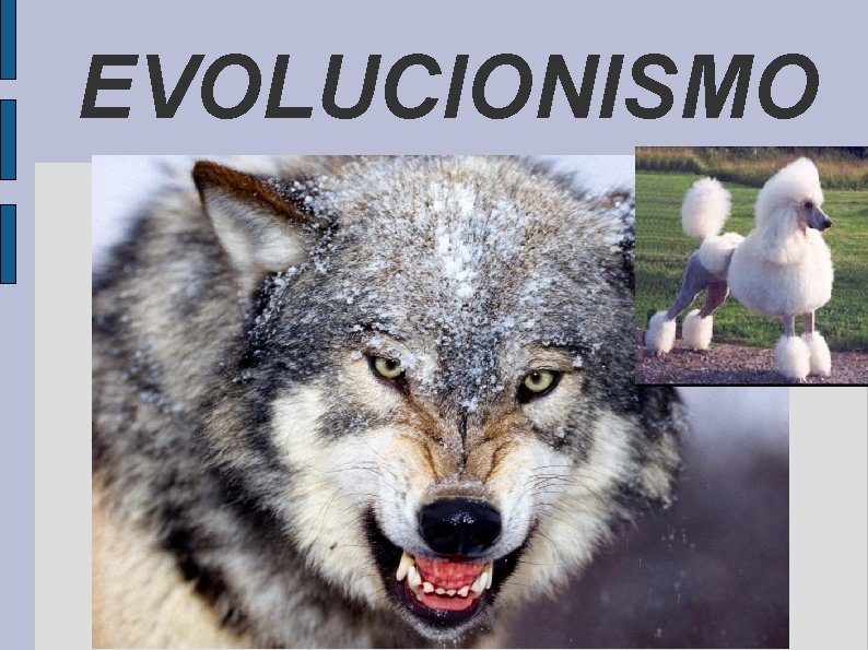 EVOLUCIONISMO 