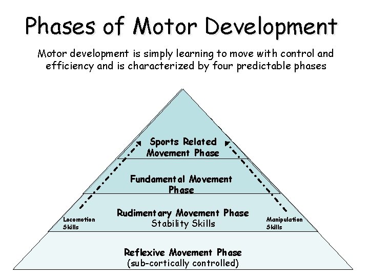 Phases of Motor Development Motor development is simply learning to move with control and