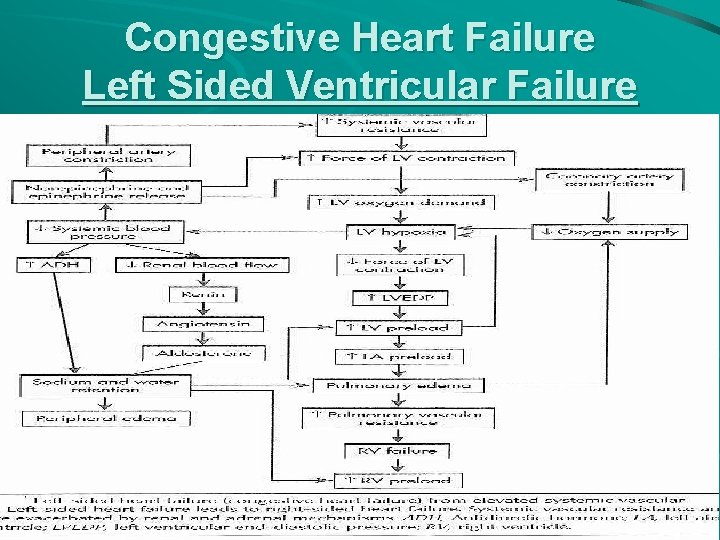 Congestive Heart Failure Left Sided Ventricular Failure 