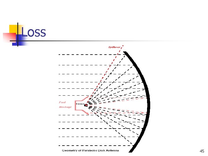 Loss 45 Loss 45