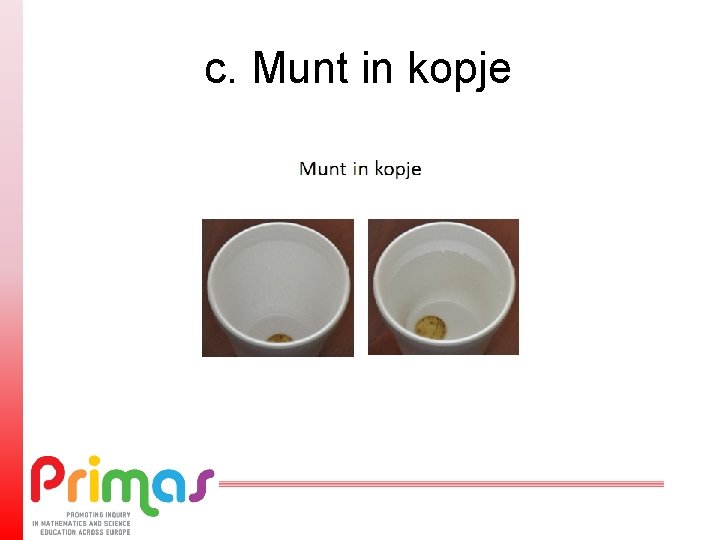 c. Munt in kopje 