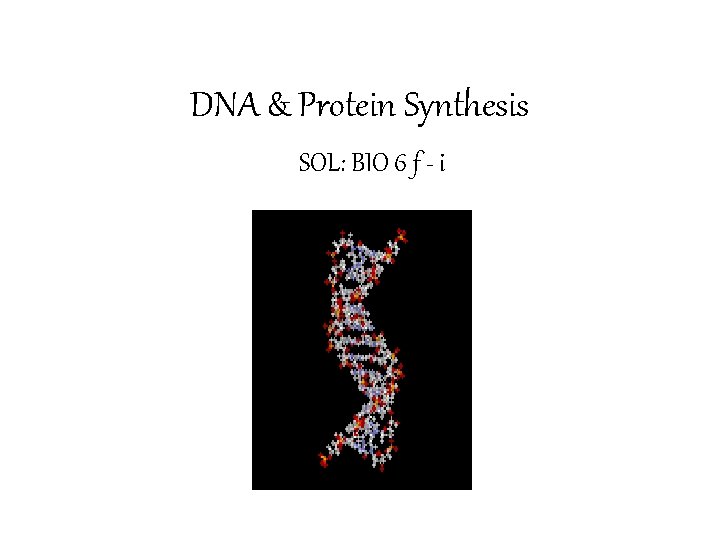 DNA & Protein Synthesis SOL: BIO 6 f - i 